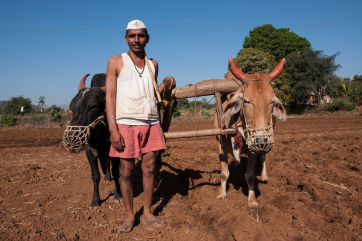 В Индии на полтора года заморозят спорные законы о сельском хозяйстве